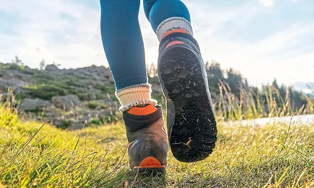 We tested 29 pairs of walking boots - and these three came out on top