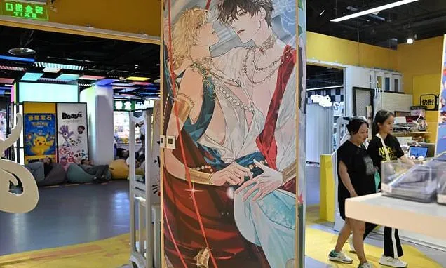 China crackdown on gay erotica stifles rare outlet for LGBTQ...