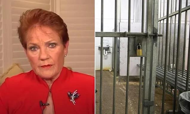 Why Pauline Hanson could be in big trouble with police
