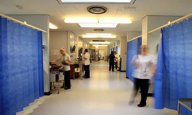 Service giving dedicated support to cancer patients to be rolled...