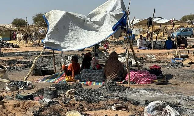 Sudan drone strike kills 12 civilians in North Darfur