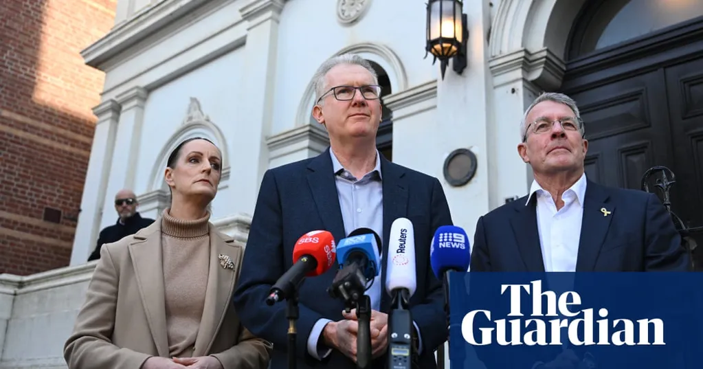 Tony Burke says Melbourne synagogue fire an 'attack on Australia' as NSW man charged over incident