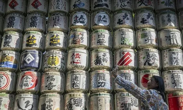 Kampai! All about Japanese sake