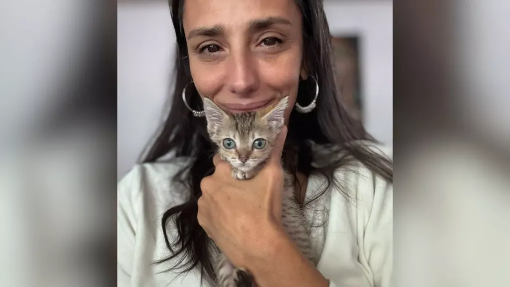 Tears as tiny kitten stays by woman's side during her last few moments