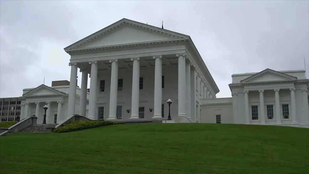 Tumay Harding, Kannan Srinivasan to face off in VA Senate District 32 Special Election