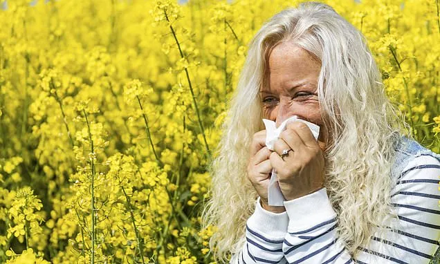 Pharmacist reveals what 16million hay fever sufferers need to do TODAY