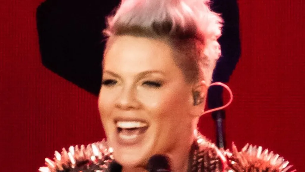 Pink sends fans wild as she posts rare photo of her 'handsome' brother