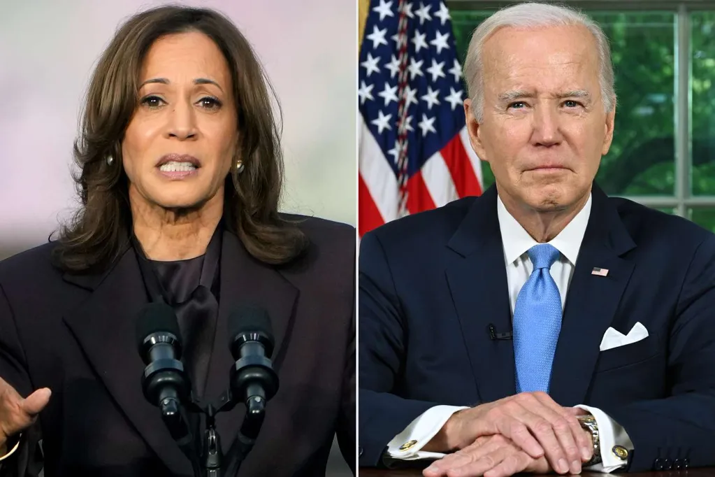 Kamala Harris Worried It Would Be 'Self-Serving' To Tell Joe Biden Not To Run for Re-Election