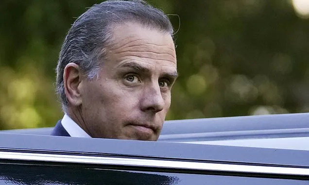 Biden has pardoned his son Hunter. What does that mean?
