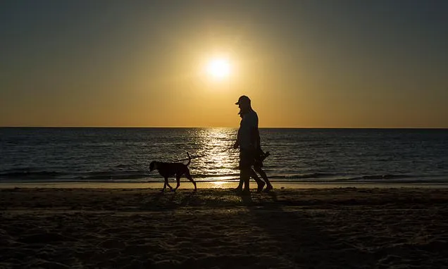 Hand injuries sustained by dog walkers cost NHS millions each year...