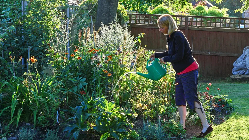 Expert reveals how to help your garden thrive amid mini heatwave