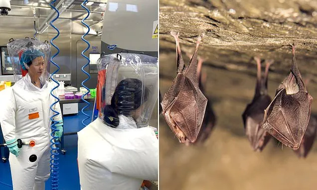 Scientists discover clue in viruses that reveal if they were lab-made