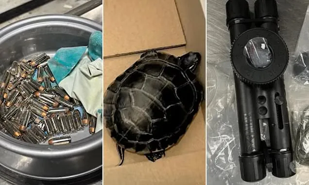 TSA reveals the most shocking prohibited items stashed in luggage