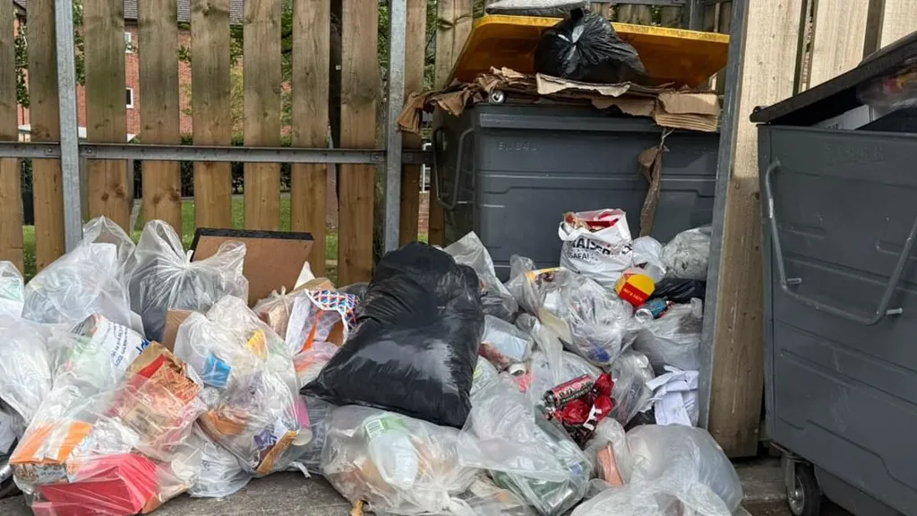 Britain's biggest Army base 'overrun by rats' due to overflowing bins