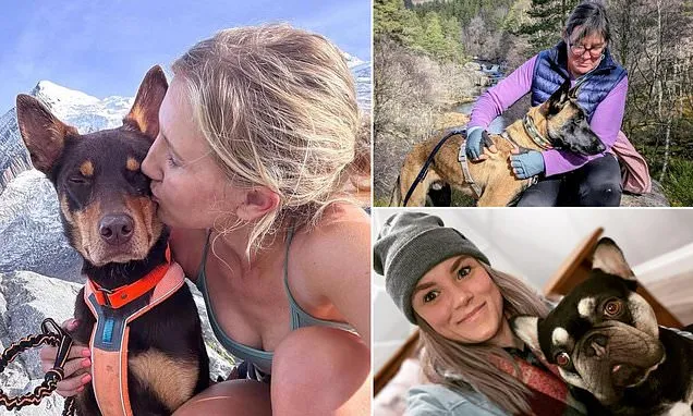 The Great Pet Insurance Rip-Off: Cancelled cover and slippery excuses