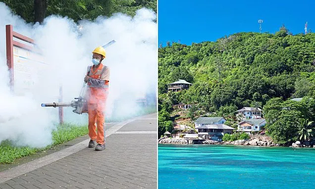 Urgent warnings for deadly virus that causes high fever and joint pain