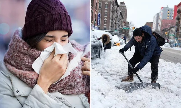 Your runny nose and watery eyes could be an allergy to snow fungus
