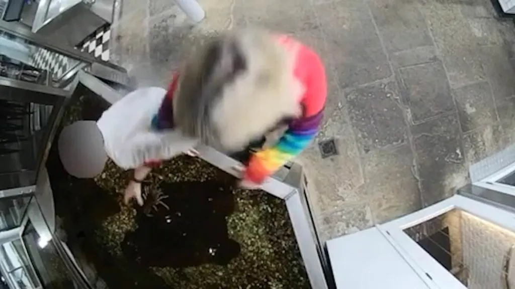 Moment animal rights activist 'frees' live lobster from restaurant