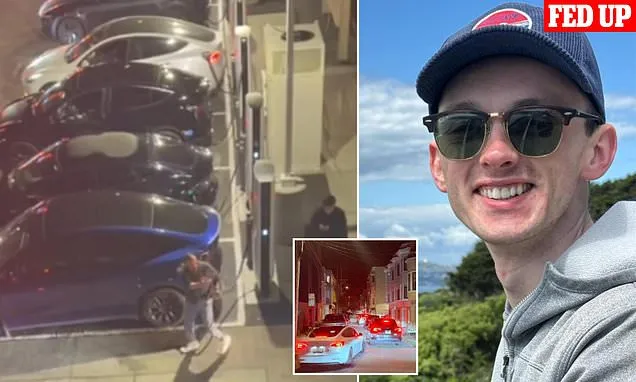 Locals slam 'arrogant' Tesla owners keeping them awake