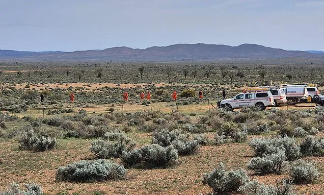 Missing boy, 4, family make an urgent plea to the Australian public