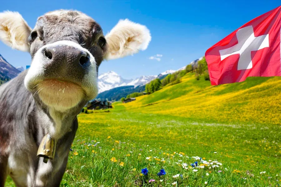 Swiss AI For Public Good: A ProSocial AI Blueprint For The World?