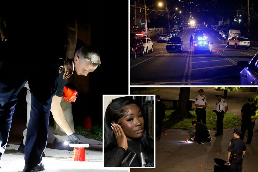 Four young suspects charged in Bronx shooting that killed one,...