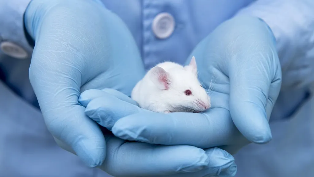 How testing drugs on mice could DELAY life-saving breakthroughs