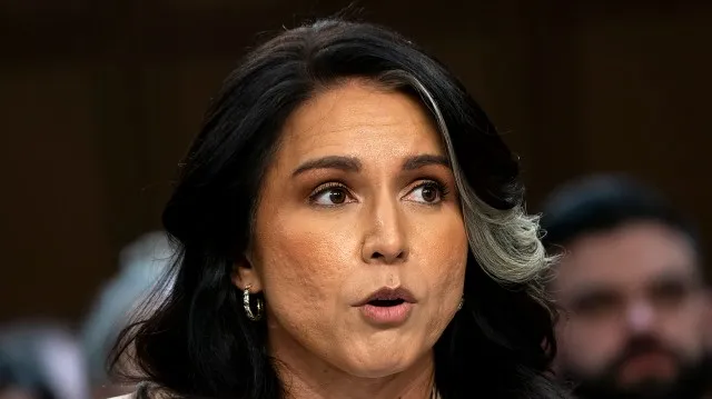 Gabbard claims Obama officials 'manufactured intelligence' of 2016 Russian election interference