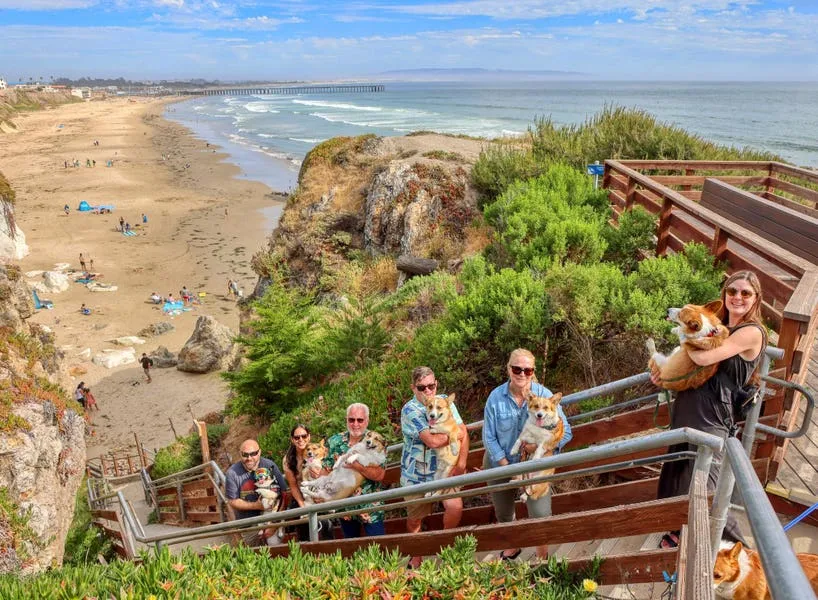 Hundreds Of Corgis To Return To Pismo Beach For Corgi Nation Vacation