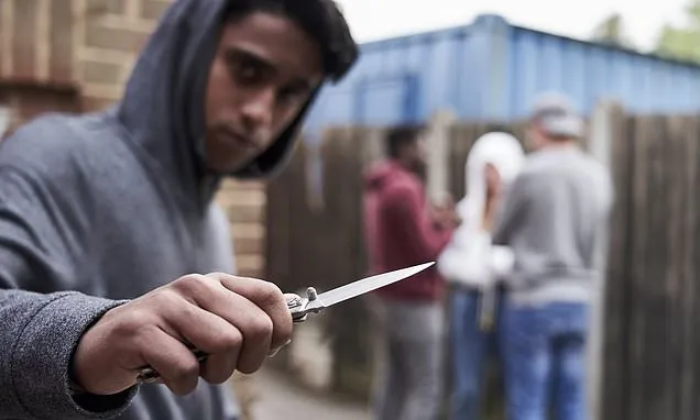 Three kids stabbed to death each month with average victim aged 14
