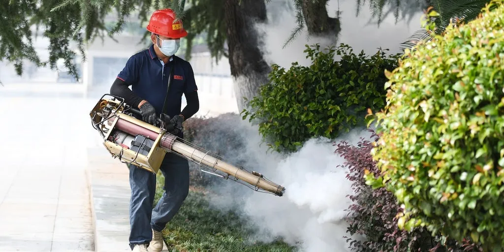 Deadly mosquito-borne virus sparks CDC travel alert  --  could it reach the US?