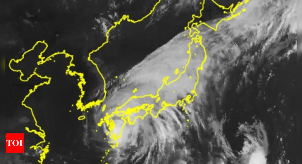 'Highest-level warnings' issued as Typhoon Shanshan makes landfall in Japan - Times of India