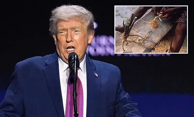 Trump 'to sign order' easing access to psychedelic drug used for PTSD