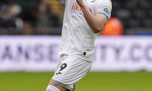 On-fire Zan Vipotnik on target again as Swansea beat Stoke