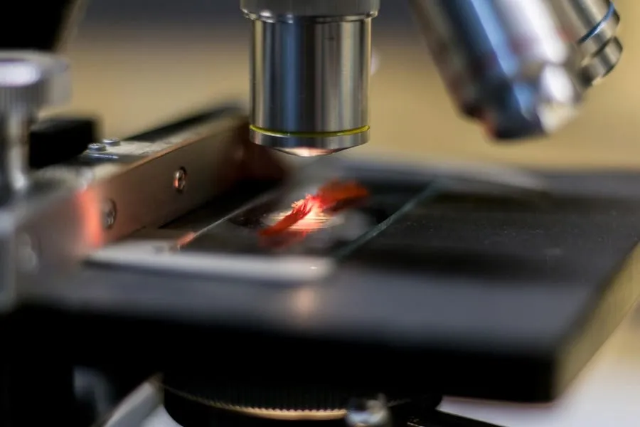 10-9 Is Nanoscience Day: AI For The Win