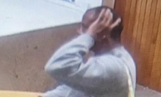 Government's desperate plea to find Epping sex attack migrant