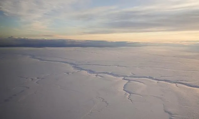 Alaska political leaders hope to see Trump undo restrictions on oil...