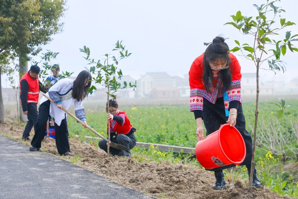 How China turned a desert green