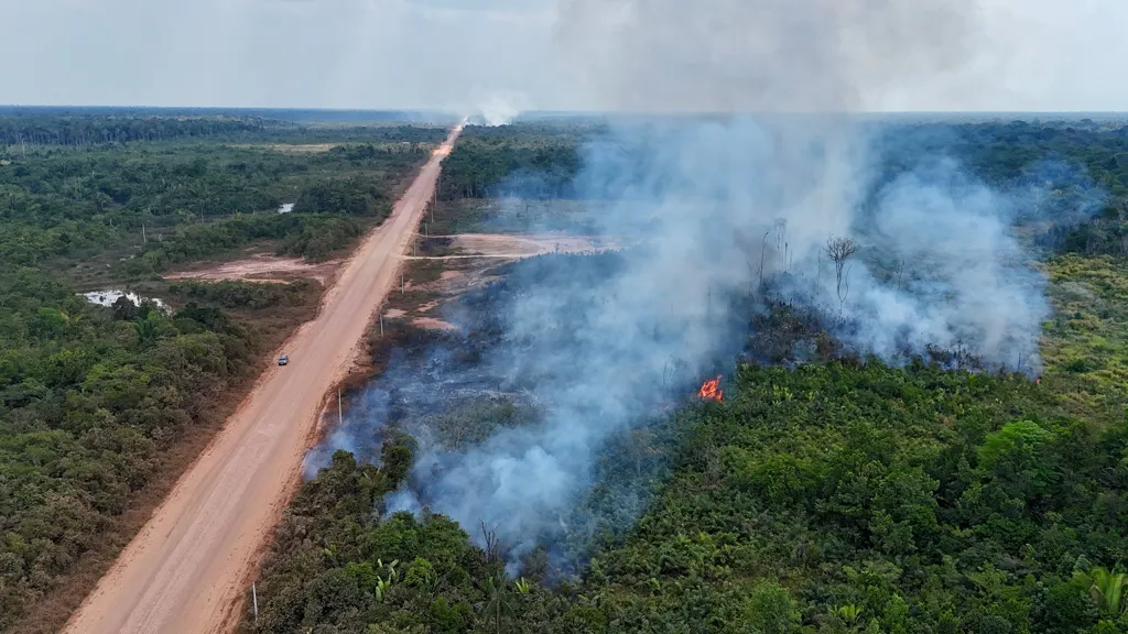 How Blocking Illegal 'Ghost' Roads Could Protect Tropical Forests