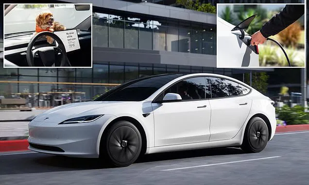 Tesla Model 3 Standard arrives for only £37,990