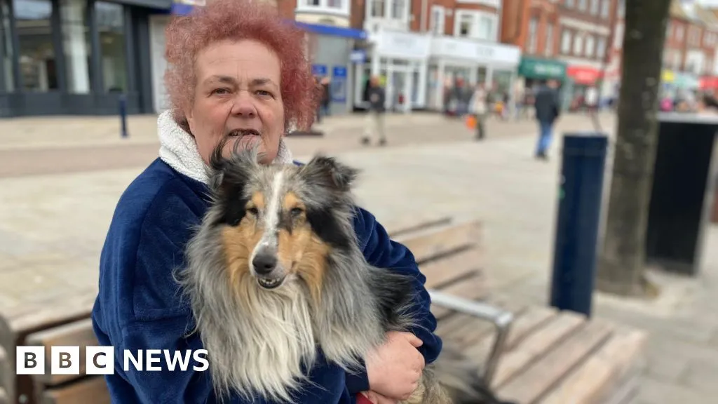 Great Yarmouth council imposes new rules for dogs in town centre