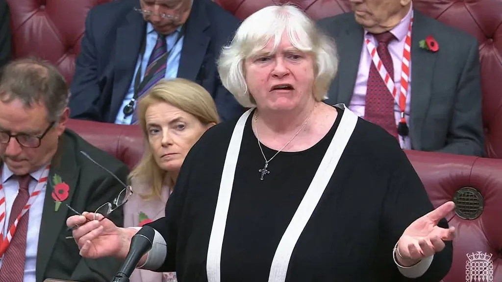 As one peer snoozed, I wondered why do clever people join the Lords?