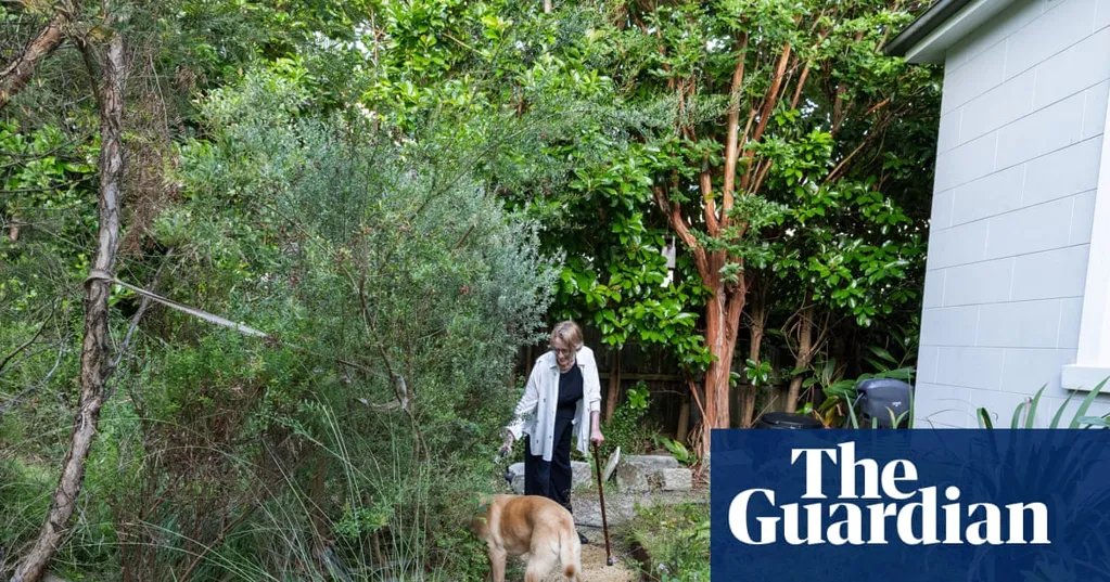 'What do we want gardens to sound like?' It began with a frog pond, but suburban rewilding became an obsession