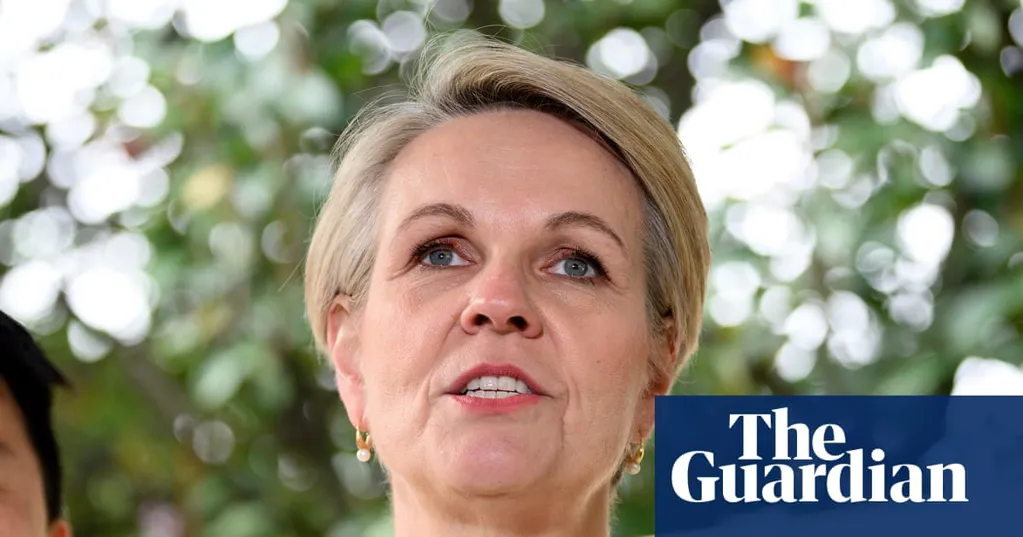 'Dangerous and undermines our systems': Tanya Plibersek condemns serious police failures in Queensland DV deaths