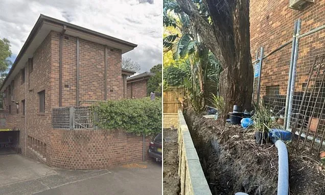 Wild legal battle over a tree in one of Australia's wealthiest suburbs