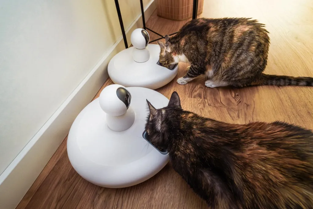 Animal behaviorists predict how smart homes will change pet psychology
