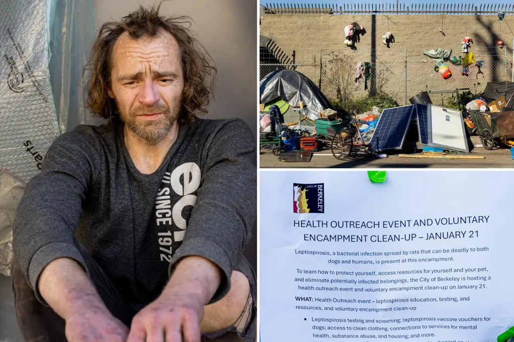 Frightening reality of California's homeless epidemic laid bare as...