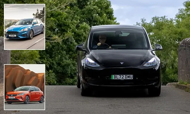 REVEALED: The best used family cars, according to science