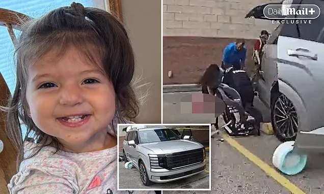 Cute little girl killed in car seat accident in parents' new SUV