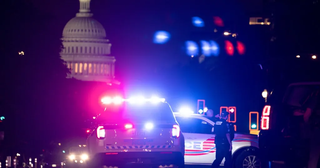 After federal, D.C. errors, defense lawyer tries to get client released with filing reading 